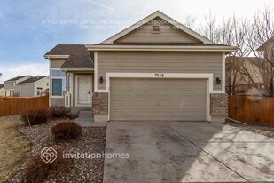 7263 Creekfront Dr in Fountain, CO - Building Photo