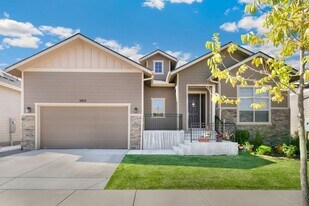 5915 Fall Harvest Way in Fort Collins, CO - Building Photo