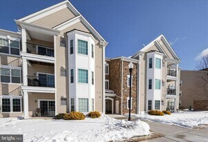 1014 Creekside Dr in Brookhaven, PA - Building Photo