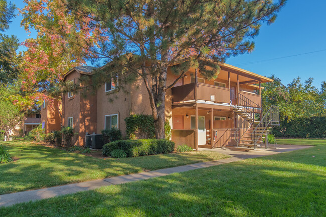 Pine Tree Apartments in Chico, CA - Building Photo - Building Photo