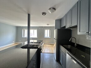 663 W Grace St in Chicago, IL - Foto de edificio - Building Photo