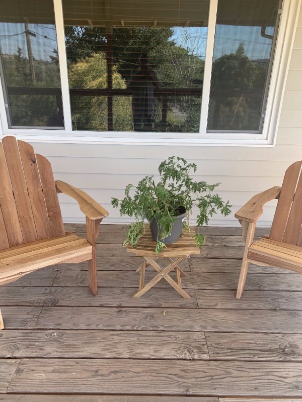 property at 100 Shelley Dr
