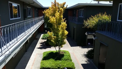 316 Alida Way in South San Francisco, CA - Building Photo - Building Photo