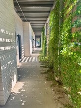 726 E Emma Ave in Springdale, AR - Foto de edificio - Building Photo