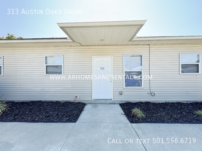 property at 313 Austin Creek Dr