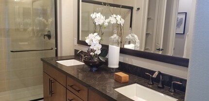 7006 Stags Leap Ln in Dublin, CA - Building Photo - Building Photo