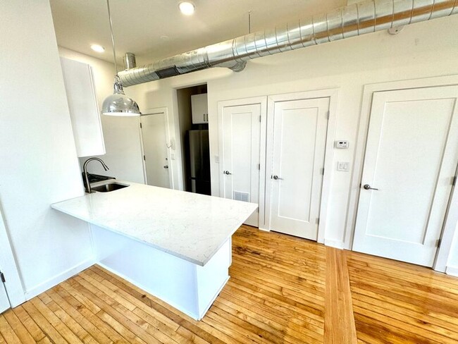 1656 S Throop St in Chicago, IL - Building Photo - Building Photo