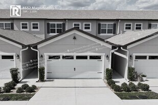 8552 Magnificent Ln in Groveland, FL - Building Photo