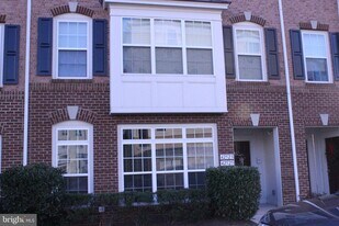 42525 Highgate Terrace in Ashburn, VA - Building Photo