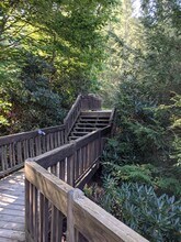 415 Woodridge Dr in Boone, NC - Building Photo - Building Photo