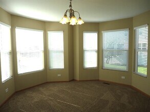 454 Grape Vine Trl in Oswego, IL - Building Photo - Building Photo