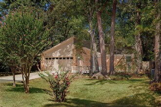 6 S Pineplank Ct in Spring, TX - Building Photo - Building Photo