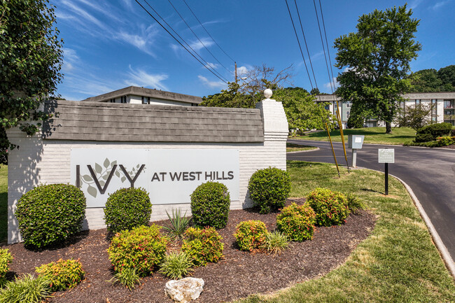 Ivy at West Hills in Knoxville, TN - Foto de edificio - Other