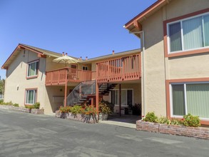 Terry Place Apartments in Santa Rosa, CA - Building Photo - Building Photo