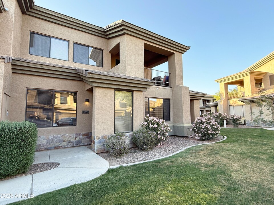 705 W Queen Creek Rd in Chandler, AZ - Building Photo