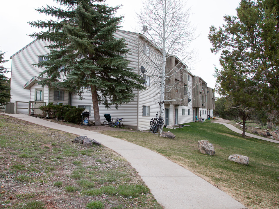 Pinon Pines Apartments in Glenwood Springs, CO - Foto de edificio