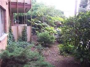 911 N 73rd St, Unit 202 in Seattle, WA - Building Photo - Building Photo