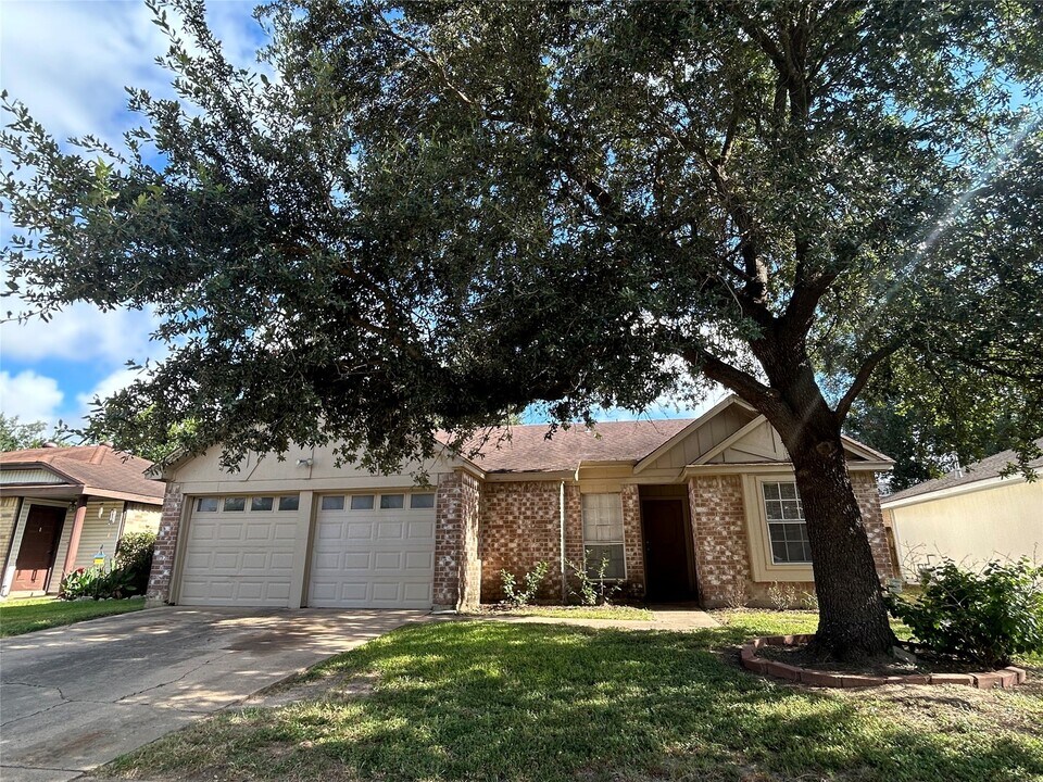 20206 Newmint Dr in Katy, TX - Building Photo