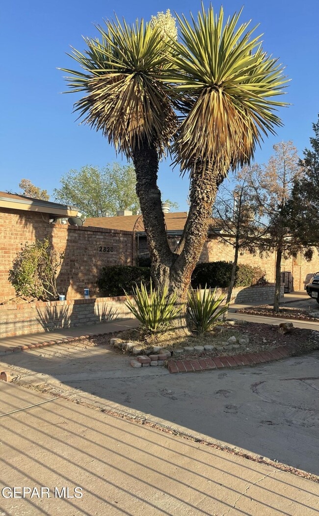 2820 E Glen Dr in El Paso, TX - Building Photo - Building Photo