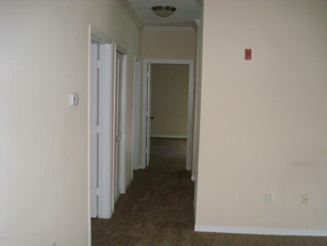 7800 Point Meadows Dr in Jacksonville, FL - Foto de edificio - Building Photo