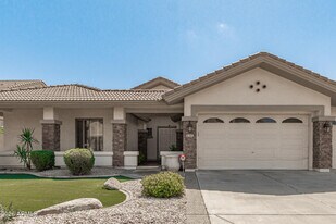 1687 E Carob Dr in Chandler, AZ - Building Photo