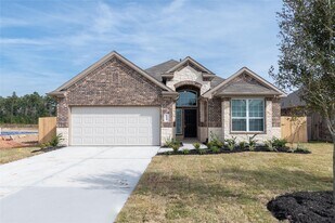 21614 Tea Tree Olive Pl in Porter, TX - Building Photo