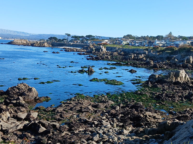 1204 Surf Ave in Pacific Grove, CA - Building Photo