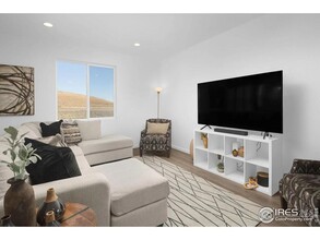 2478 White Pelican Ave in Loveland, CO - Building Photo - Building Photo