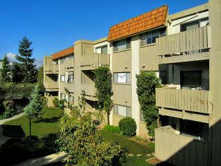 The Cannery Apartments in Campbell, CA - Building Photo - Building Photo