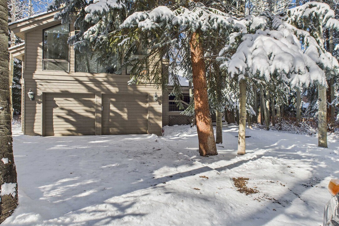 645 Sneaky Ln in Aspen, CO - Building Photo