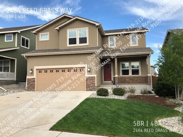 2464 Reed Grass Way in Colorado Springs, CO - Building Photo