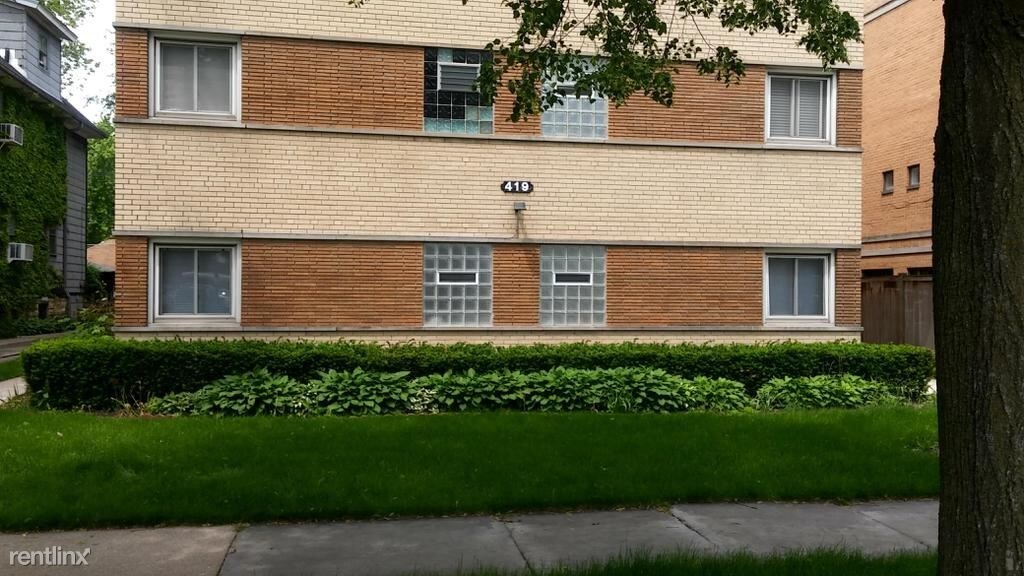 419 S East Ave in Oak Park, IL - Foto de edificio