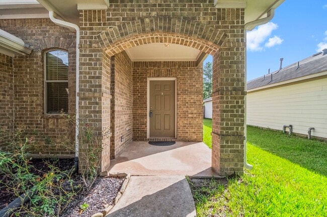 21522 Daylily Hills Dr in Spring, TX - Building Photo - Building Photo