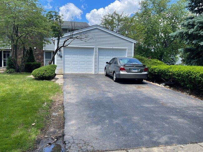 196 Roberts Rd in Bolingbrook, IL - Building Photo - Building Photo