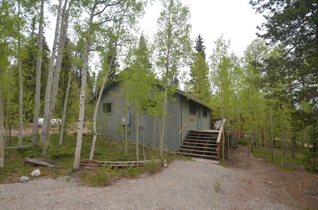 2693 Beaver Creek Rd in Fairplay, CO - Building Photo - Building Photo