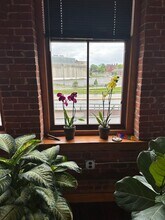 98 Genesee St, Unit 2nd Floor in Utica, NY - Building Photo - Building Photo