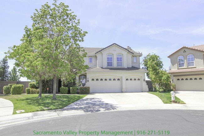 2400 Snowy Egret Ct in Elk Grove, CA - Building Photo - Building Photo