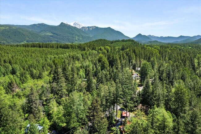 321 Paradise Dr in Ashford, WA - Foto de edificio - Building Photo