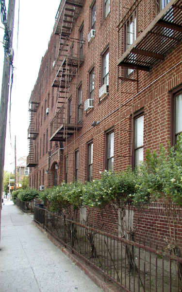 155 E 51st St in Brooklyn, NY - Foto de edificio - Building Photo