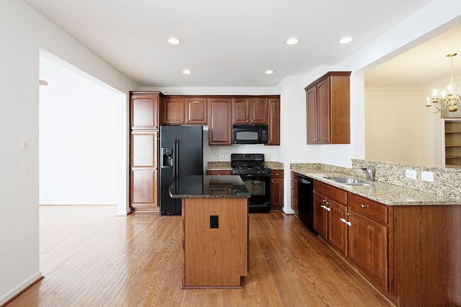 920 Rainier Rd in Charlottesville, VA - Building Photo - Building Photo