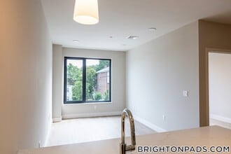 249 Corey Rd in Boston, MA - Building Photo - Building Photo