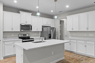 4212 Cloud Hopper Wy in Lutz, FL - Building Photo - Building Photo