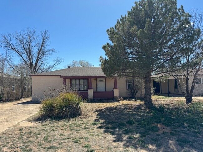 1010 E Amazon St in Portales, NM - Building Photo - Building Photo