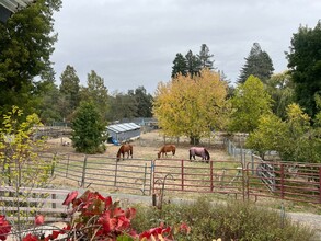 8390 Appian Way in Sebastopol, CA - Building Photo - Building Photo