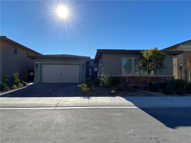 341 Torrelli Falls Ave in Henderson, NV - Building Photo - Building Photo