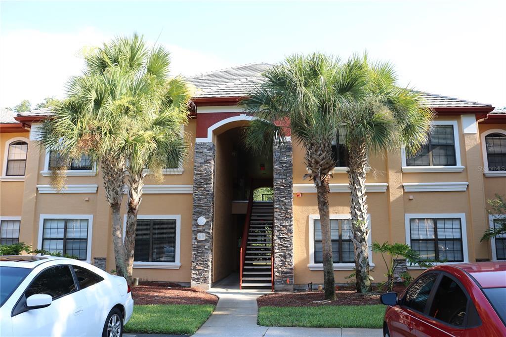 2188 Chianti Pl in Palm Harbor, FL - Building Photo