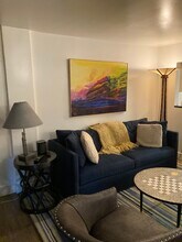 910 W Hallam St in Aspen, CO - Building Photo - Building Photo