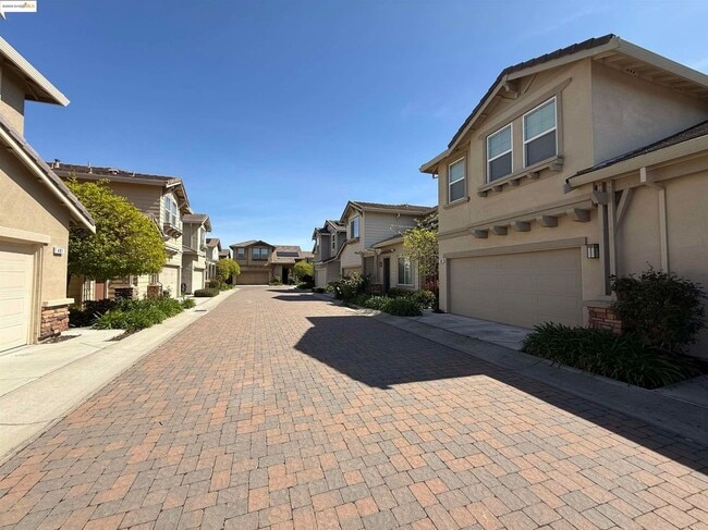 482 Crimson Clover Ct in Brentwood, CA - Building Photo - Building Photo