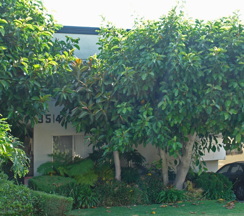 3514 Keystone Ave in Los Angeles, CA - Foto de edificio