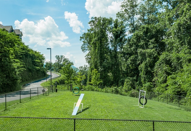 City Green Apartments